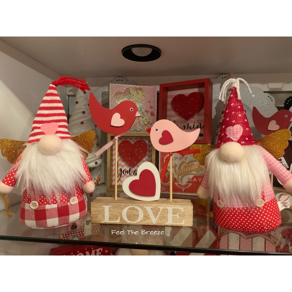 Valentine’s Gnomes & Birds Decor